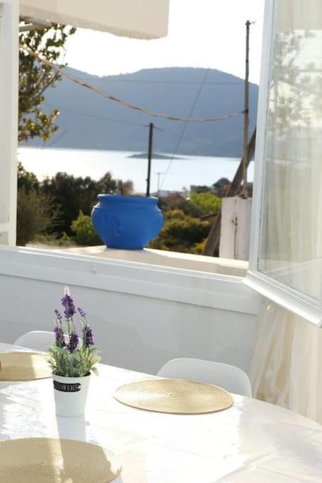 White Villa In Olive Trees And Seaview To Panagia Almiropótamosz Kültér fotó