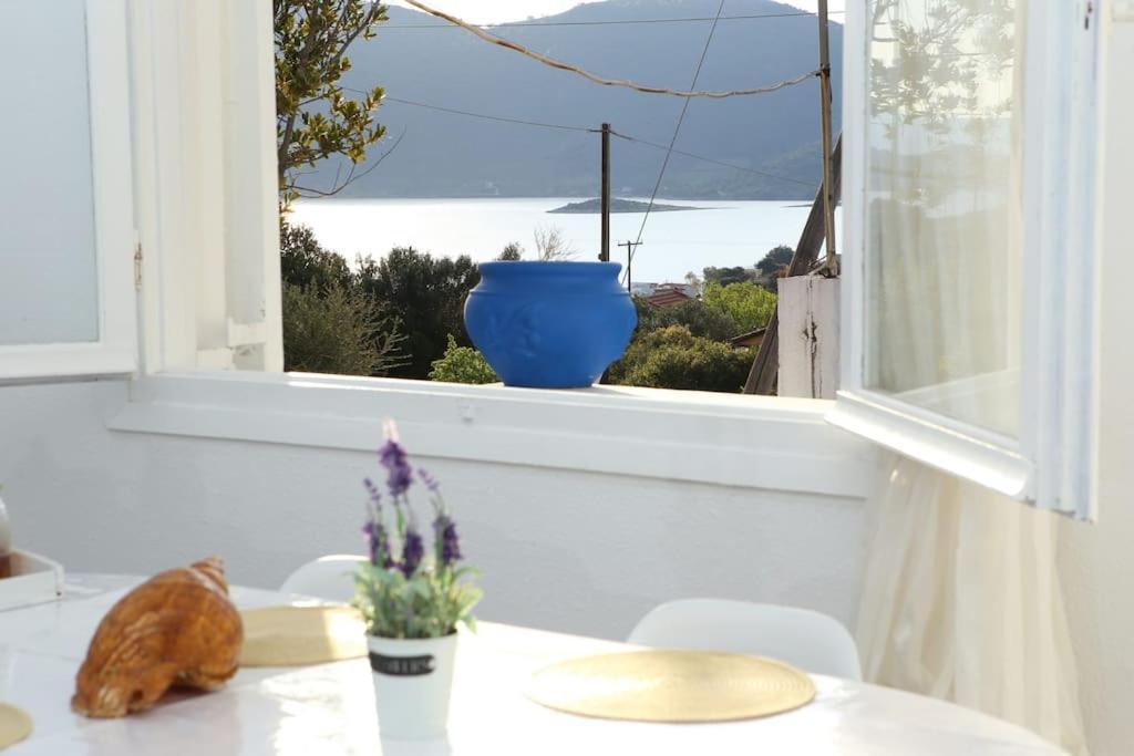 White Villa In Olive Trees And Seaview To Panagia Almiropótamosz Kültér fotó