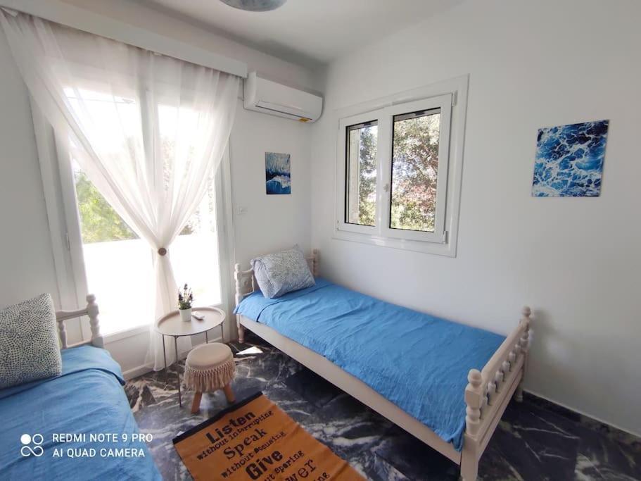 White Villa In Olive Trees And Seaview To Panagia Almiropótamosz Kültér fotó
