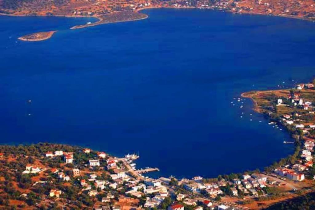 White Villa In Olive Trees And Seaview To Panagia Almiropótamosz Kültér fotó