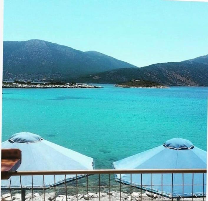 White Villa In Olive Trees And Seaview To Panagia Almiropótamosz Kültér fotó