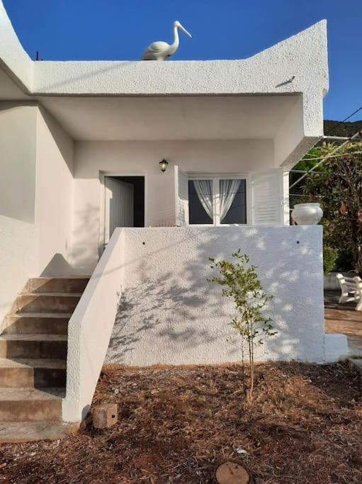 White Villa In Olive Trees And Seaview To Panagia Almiropótamosz Kültér fotó