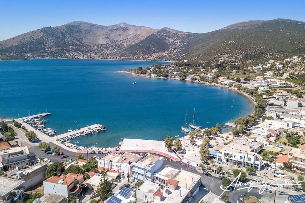 White Villa In Olive Trees And Seaview To Panagia Almiropótamosz Kültér fotó